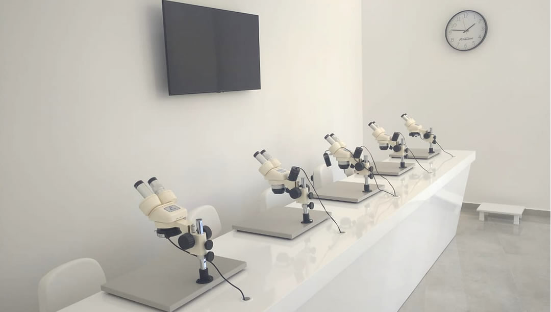 Tsilosani Hair Transplant Clinic
