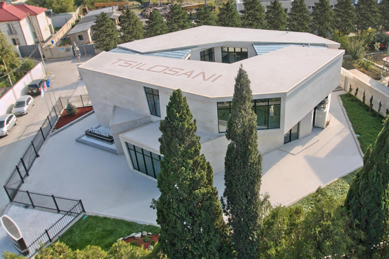 A. Tsilosani Hair Transplantation Clinic